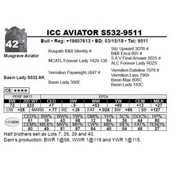 ICC AVIATOR S532-9511