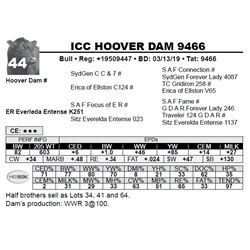 ICC HOOVER DAM 9466