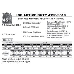 ICC ACTIVE DUTY 4190-9510