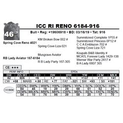 ICC RI RENO 6184-916