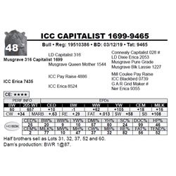 ICC CAPITALIST 1699-9465