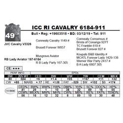 ICC RI CAVALRY 6184-911