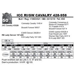 ICC RI/GW CAVALRY 428-958