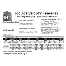 ICC ACTIVE DUTY 4190-9493