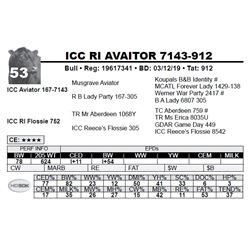 ICC RI AVAITOR 7143-912