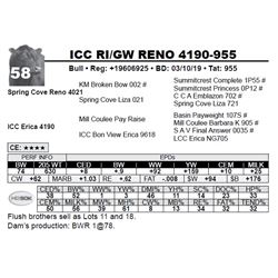 ICC RI/GW RENO 4190-955