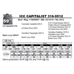 ICC CAPITALIST 316-9512