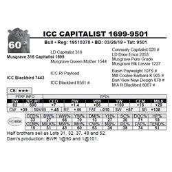 ICC CAPITALIST 1699-9501