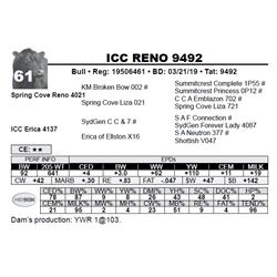 ICC RENO 9492
