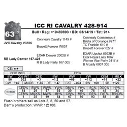 ICC RI CAVALRY 428-914
