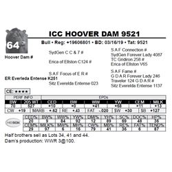 ICC HOOVER DAM 9521