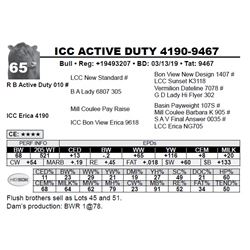 ICC ACTIVE DUTY 4190-9467