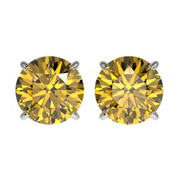 2.50 ctw Intense Yellow Diamond Stud Earrings 10K White Gold - REF-427F5N - SKU:33108