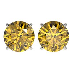 4 ctw Intense Yellow Diamond Stud Earrings 10K White Gold - REF-1095R2K - SKU:33139