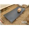 Image 2 : (UNUSED) TMG 10 TON DIGITAL FLOOR SCALE