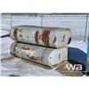 Image 1 : (2) FUEL TANKS
