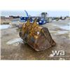 Image 3 : 60" CLEAN OUT BUCKET