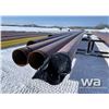 Image 2 : (5) PCS 12" PIPE