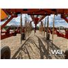 Image 8 : SITREX 12 WHEEL V-HAY RAKE