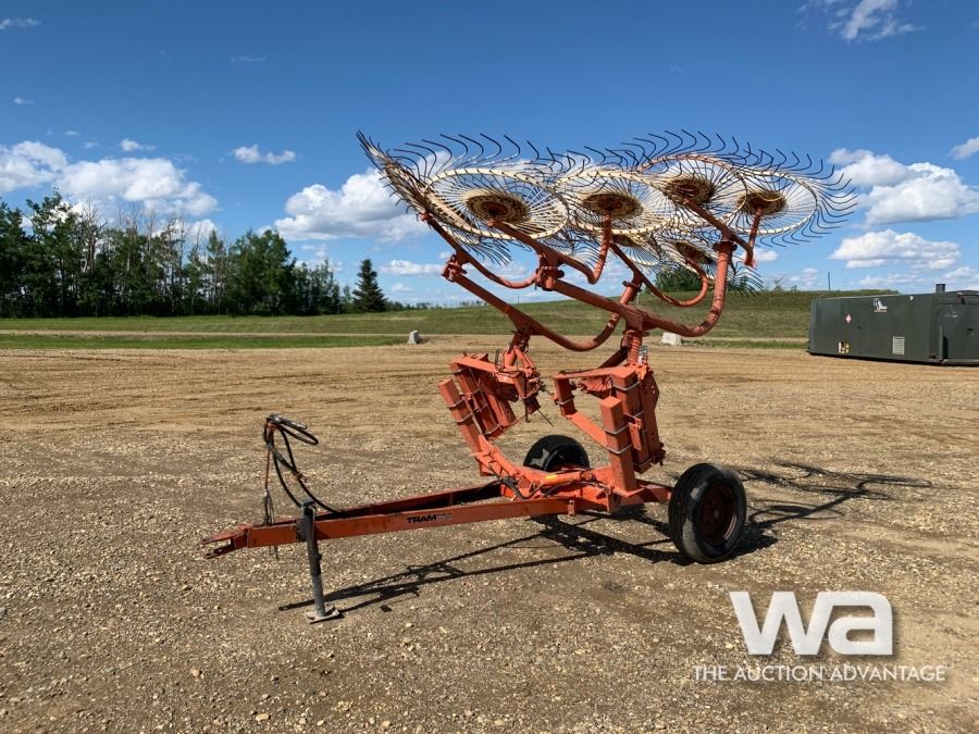 SITREX (8) WHEEL V HAY RAKE
