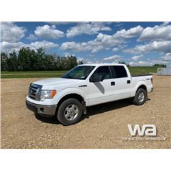 2011 FORD F150 CREW CAB PICKUP