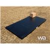 Image 4 : (UNUSED) TMG 10 TON FLOOR SCALE