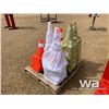 Image 3 : QUANTITY OF 18 & 28" ROADSIDE PYLONS