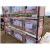Image 3 : (UNUSED) TMG TPL45 10,000 LBS 2 POST AUTO LIFT