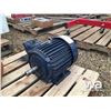 Image 2 : 3 HP. ELECTRIC MOTOR