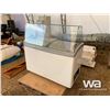 Image 1 : ICE CREAM COOLER DISPLAY