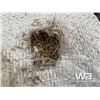 Image 3 : 8 BAGS OF FESCUE-TIMOTHY GRASS SEED