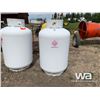 Image 2 : 450 LITRE PROPANE PIG