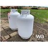 Image 2 : 450 LITRE PROPANE PIG