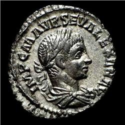 Roman imperial coins - Alessandro Sever