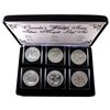 Image 1 : 2011-2013 Canada $5 Wildlife Series 1oz .9999 Fine Silver Maple Leaf Set Encapsulated in Black Displ