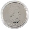Image 2 : 2013 Canada 1oz Winter Scene .9999 Fine Silver 25th Anniversary Maple Leaf in Capsule (TAX Exempt)