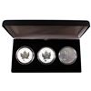 Image 1 : 2012 Canada 1oz .9999 Fine Silver Privy Maple Leafs Encapsulated in Black display Case - Dragon, Tit