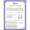 Image 2 : Genuine 1.39 ctw Opal & Tanzanite Earrings 14KT Yellow Gold - REF-43V6W