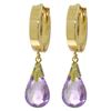 Image 1 : Genuine 6 ctw Amethyst Earrings 14KT Yellow Gold - REF-47X4M