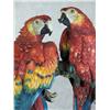 Image 3 : Giuseppe Armani  288/S Tropical Splendour