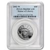 Image 1 : 2002-W 1/2 oz Proof Platinum American Eagle PR-69 PCGS