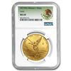 Image 1 : 2019 Mexico 1 oz Gold Libertad MS-69 NGC (Coat of Arms Label)