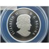 Image 3 : 2014 ANACS SP70 Canada Silver $10 First Day of Issue - The Igloo