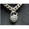 Image 2 : Silver Large Necklace