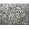 Image 3 : Bag Of Shredded Money