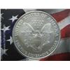 Image 3 : 2005 American Silver Eagle