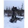 Image 1 : 7 Day Wolf Hunt - 2 Person - Alberta