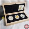 Image 1 : RCM 2014 Canada $20 Majestic Maple Leaf 3-coin Fine Silver Set in Deluxe Wooden Display Case. (Majes