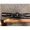 Image 3 : Ruger Model 10/22 commemorative 1964-2014 .22 Semi Auto with Bushnell Scope