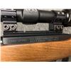 Image 6 : Ruger Model 10/22 commemorative 1964-2014 .22 Semi Auto with Bushnell Scope